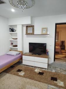 a living room with a flat screen tv and a bed at Avdic Guest House in Makljenovac