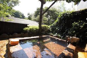 a pool of water with a toilet in a yard at Ryokan Yamanoyu in Minamioguni
