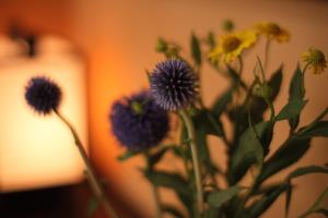 a vase filled with purple and yellow flowers at Ryokan Yamanoyu in Minamioguni