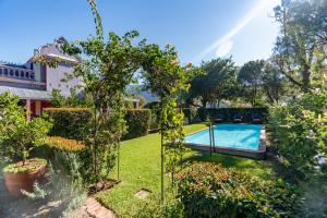 a backyard with a swimming pool and plants at La Rochelle in Montagu