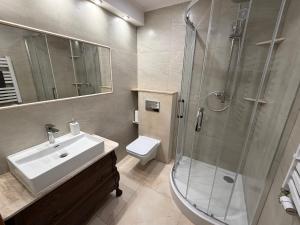 a bathroom with a shower and a sink and a toilet at Gorczański Wierch in Maniowy