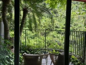 a view of a balcony with chairs and a palm tree at Flamingos Cat Ba pre núi in Cat Ba