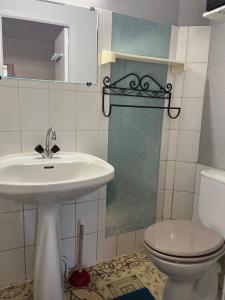 a bathroom with a sink and a toilet and a mirror at Appartement le Gallon in Langogne