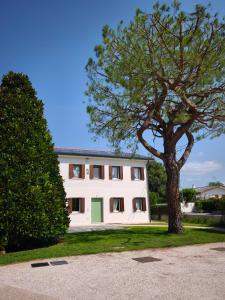 a white building with a tree in front of it at L'Albero del Tempo in Falze