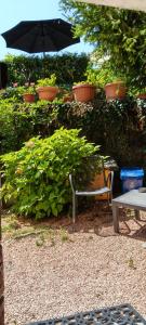 a bench and an umbrella next to a bush at Al Volto in Roncegno