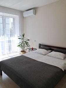 a bedroom with a large bed and a potted plant at ЖК Dream Town, Lutsk in Lutsk