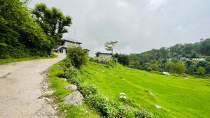 a grassy hill with a house and a dirt road at North Sky Stays Bir in Bīr