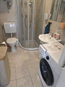 a washing machine in a bathroom with a toilet and a shower at Ferienhaus RADO in Winden am See