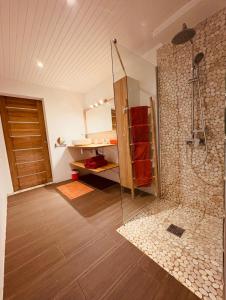 a bathroom with a shower and a glass door at Domaine Madinina in Le Morne-Vert
