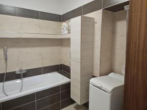 a bathroom with a bath tub and a toilet at Studio Hálkova in Chlumec nad Cidlinou +19 photos