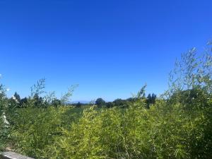 a field of grass with a blue sky in the background at Le Chalet romantique avec jacuzzi privatif in Lirac +4 photos