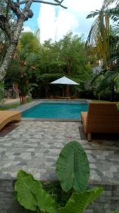 a swimming pool in a yard with benches and trees at AA Guest House Padonan in Dalung