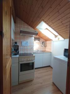 a kitchen with a stove and a sink at Fischer Willi in Bad Koetzting