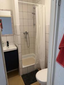 a bathroom with a shower and a toilet and a sink at Pension Zur Taube in Bautzen