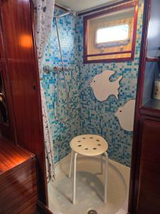 a bathroom with a shower with a stool in the tub at Motorjacht Flint in Amsterdam