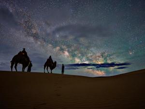 two people riding horses on the beach under the stars at Mongol Altai Tour Camp in Högönö-Taranaiin-Hüree