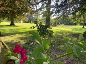 a garden with red flowers in a park at Lys in Gury +2 photos