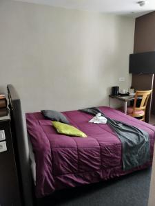 a bedroom with a purple bed with two pillows at Hôtel Montsouris Orléans in Paris