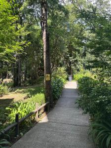 a path in a park with a sign on a tree at Pucon dpto in Pucón
