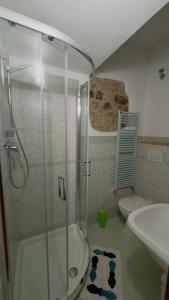 a bathroom with a shower and a sink and a toilet at La Nobiltà del Tempo in Murlo