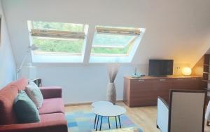a living room with a couch and a tv at Ático LA FLOR DEL SOL in Canfranc