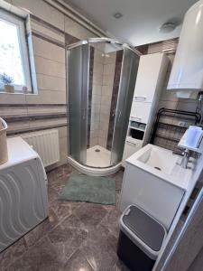 a bathroom with a shower and a sink at Apartma Rožman in Radenci +33 photos