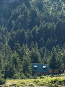 a building in the middle of a forest of trees at ILDO Guesthouse in Asim Zeneli