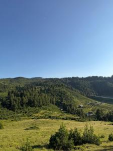 a view from the top of a grassy hill with a lake at ILDO Guesthouse in Asim Zeneli