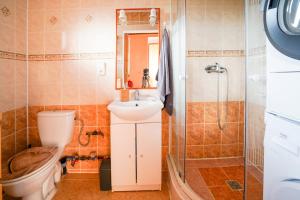 a bathroom with a toilet and a sink and a shower at Chata Roudenka in Roudno +13 photos