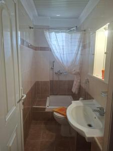 a bathroom with a toilet and a sink at Hotel Ira in Leptokarya