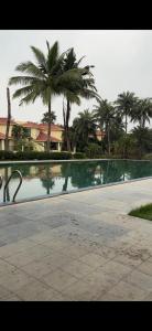 a pool of water with palm trees and a building at The Humble Abode in kolkata