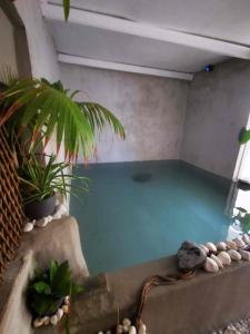 a swimming pool in a house with a plant at Ocean front La Maresia Holiday 2 Apartments in Taganana