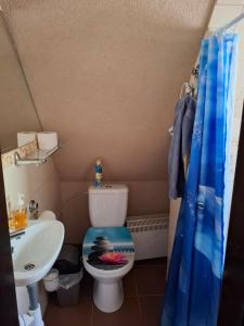 a small bathroom with a toilet and a sink at Chatka pod jaskyňou in Malužiná