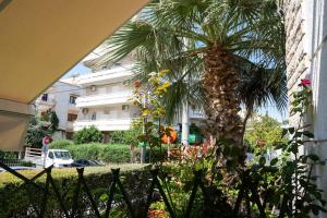 a palm tree in front of a building at Pallantides Residence in Pallini
