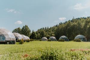 a row of domes in a field with trees in the background at Aqua Glamp in Jaszczurowa