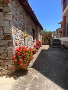 a row of flowers in pots on the side of a building at Morfili Villa in Limenaria