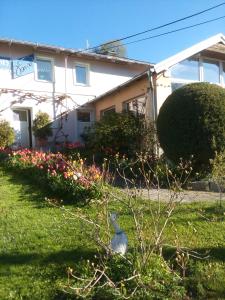 a bird sitting in the grass in front of a house at Pension Jana Tatrovice in Tatrovice