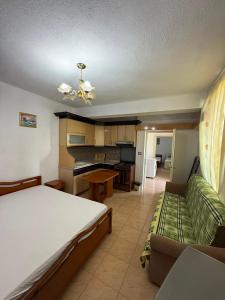 a bedroom with a bed and a couch and a kitchen at Villa Balliu in Pogradec