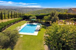 an overhead view of a garden with a swimming pool at Betulla C in San Gimignano