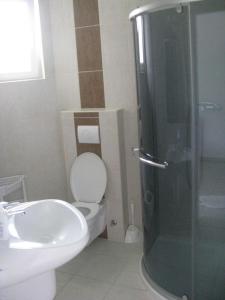 a bathroom with a toilet and a sink and a shower at Kabóka Lovastanya (riding stable) Apartman in Enying