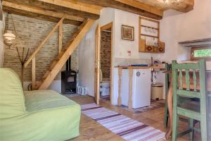 a living room with a couch and a stove at Dominic Boutique - Gardener's Cottage in Cloaşterf +14 photos