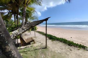 a beach with a bench and palm trees and the ocean at Licuri Praia de Algodões na beira do mar in Marau