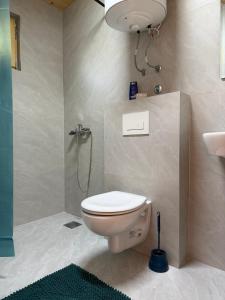 a bathroom with a toilet and a shower at Bukuria e Fjerinës in Ulcinj +54 photos