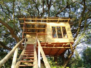 a tree house in a tree at Tree house Living in Roodepoort