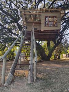 a tree house on a ladder in a tree at Tree house Living in Roodepoort