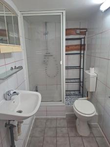 a bathroom with a shower and a toilet and a sink at Unseburger Brauhaus - FW7 in Unseburg +8 photos