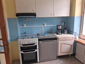 a small kitchen with a stove and a sink at Le Picasso in La Chaise-Dieu