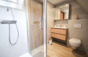 a bathroom with a shower and a toilet and a sink at Le Courlis du Ried in Grussenheim +46 photos