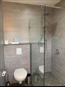 a bathroom with a toilet and a glass shower at Vina am Ring in Mannebach