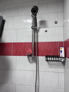 a shower in a bathroom with a red and white wall at Ravne Konak in Visoko +31 photos